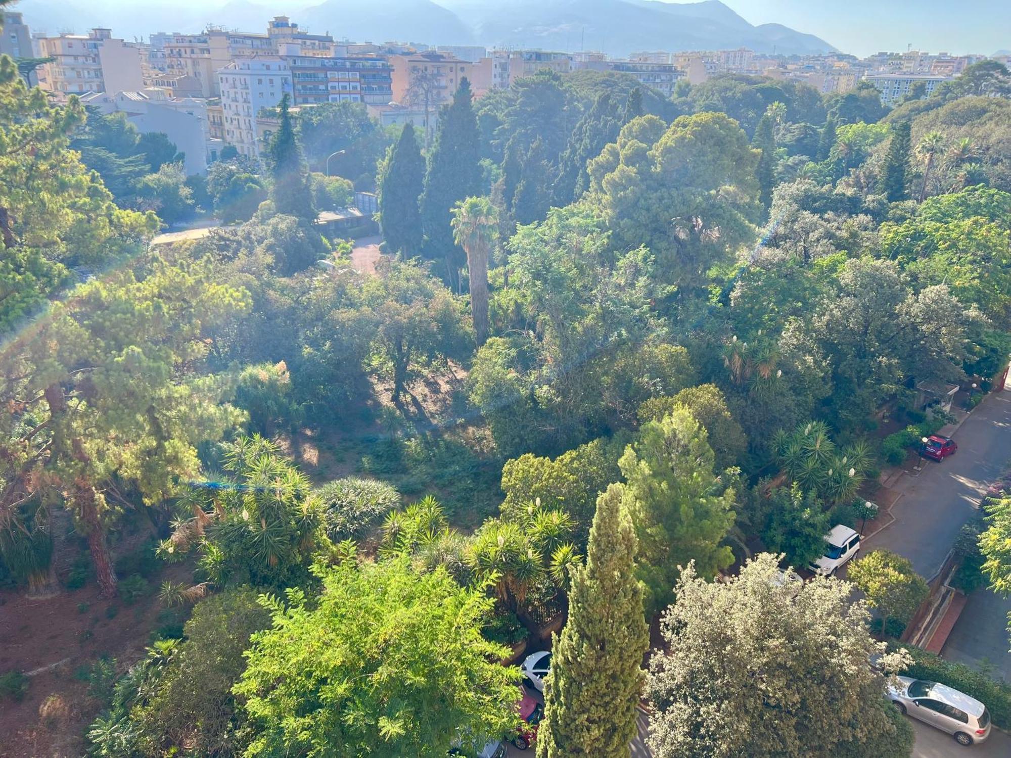 Dantes House * Palermo
