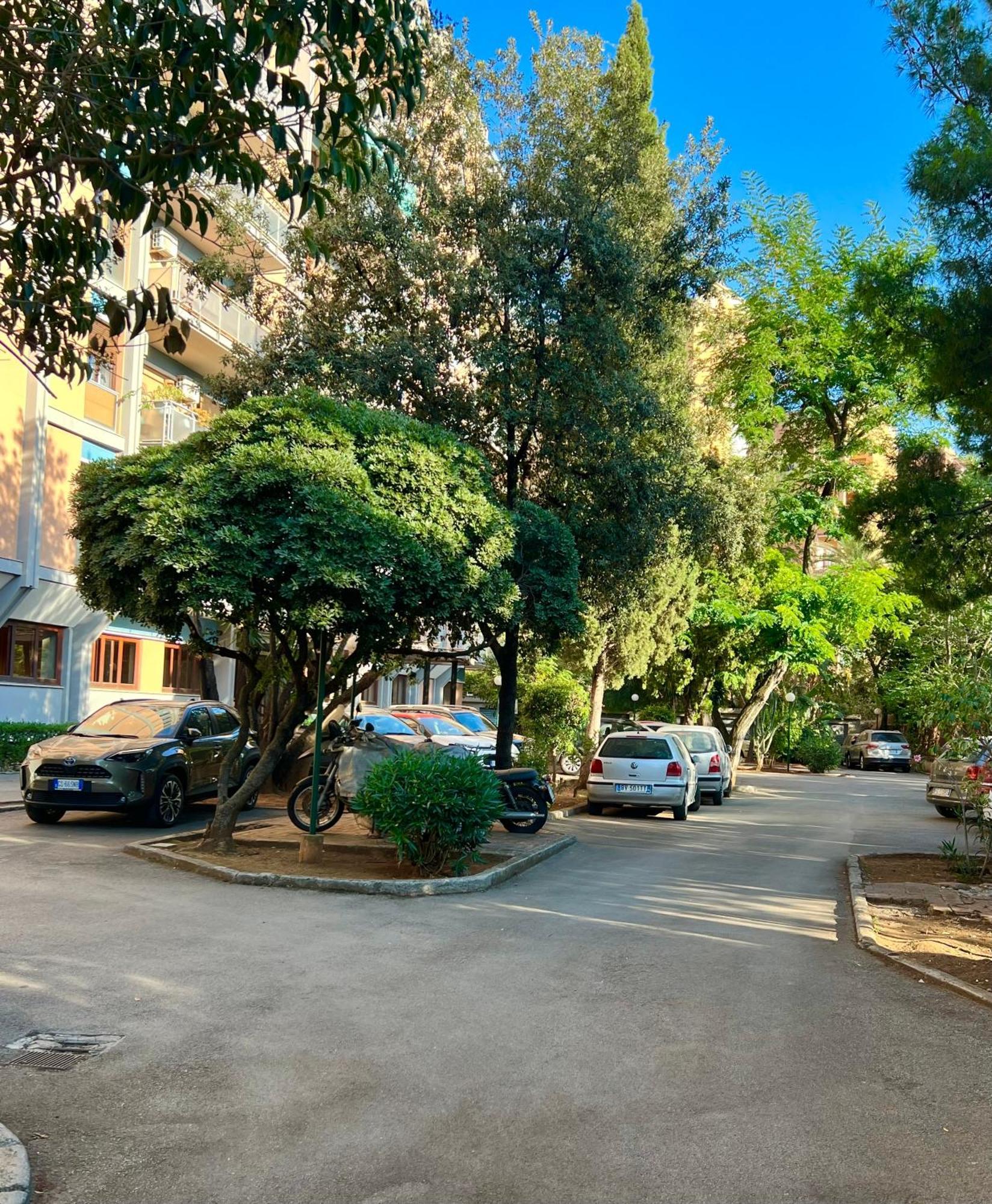 Apartamento Dantes House *